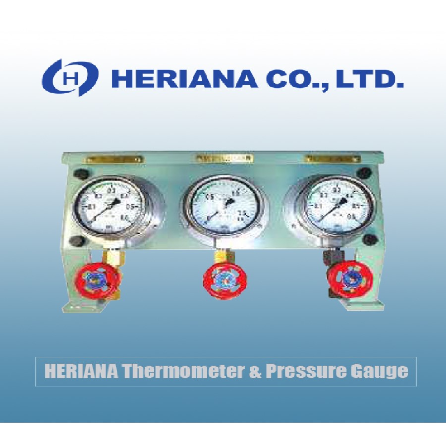 HERIANA Thermometer & Pressure Gauge